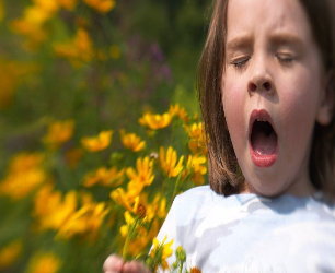 hayfever-image